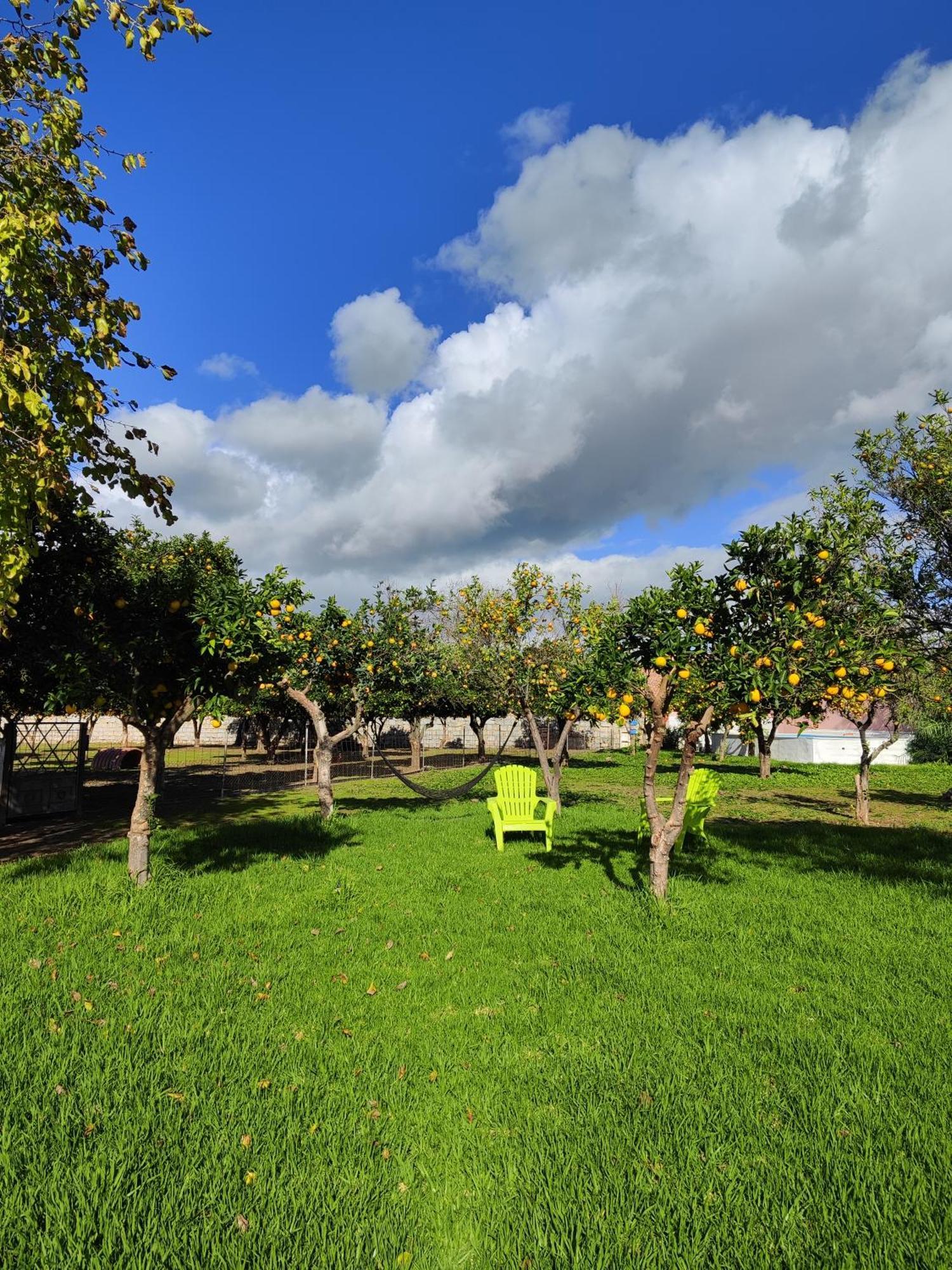 Quinta Da Ponte Das Hortas 2 Elvas Exteriér fotografie